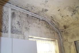 Black spot condensation mould